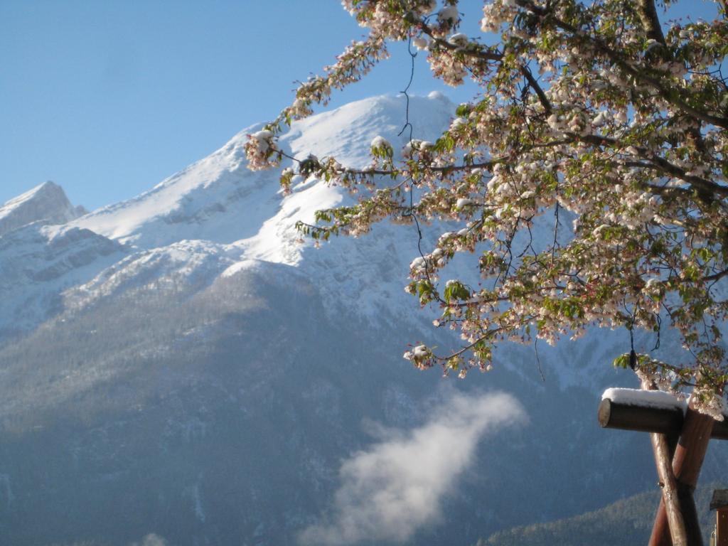 Hotel-Gasthof Nutzkaser Ramsau bei Berchtesgaden Exterior foto